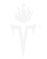 Timo Logo