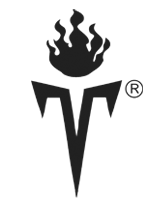 Timo Logo
